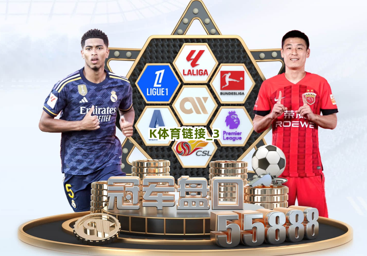 K体育链接截圖3