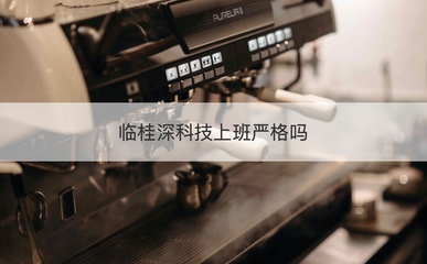 臨桂深科技薪資待遇與工作環境探析